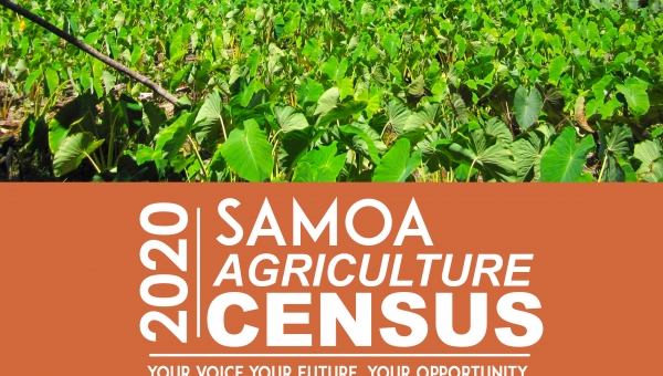 SAMOA AGRICULTURE CENSUS 2020